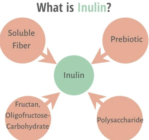 What is the inulin