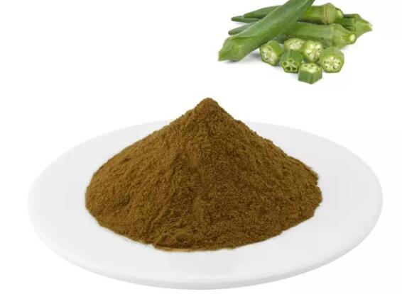 Okra Powder Benefits-1