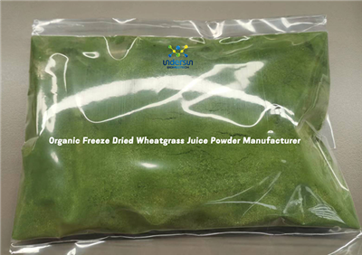 Bio -Freeze -Weizengrassaftpulver