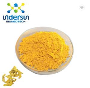 Organisches Kurkumapulver