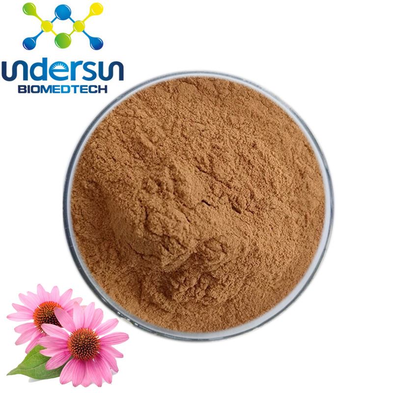 Die neue Produktion von Echinacea Purpurea Polyphenolen wurde abgeschlossen