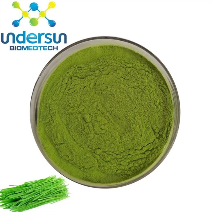 Bio Gerste Gras Pulver