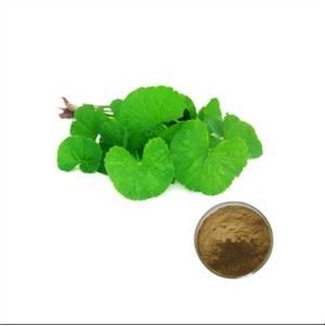 Centella Asiatic Extrakt