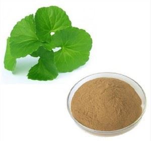 Gotu Kola Extrakt Pulver