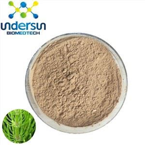 Schachtelhalm-Extrakt