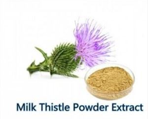 Mariendistel Samen pulver