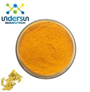 Bio Curcumin Pulver