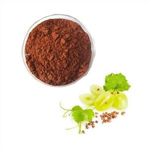 Bio Traubenkern-Extrakt Pulver