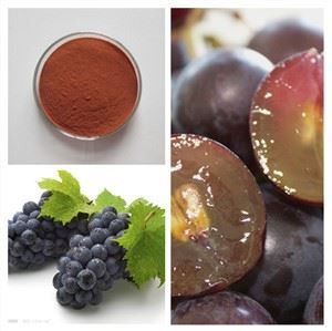 Bio-Traubenkernpulver