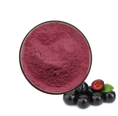 Aronia-Pulver