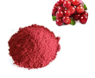 Bio Cranberry Extrakt