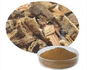 Slippery Elm Rinde Pulver
